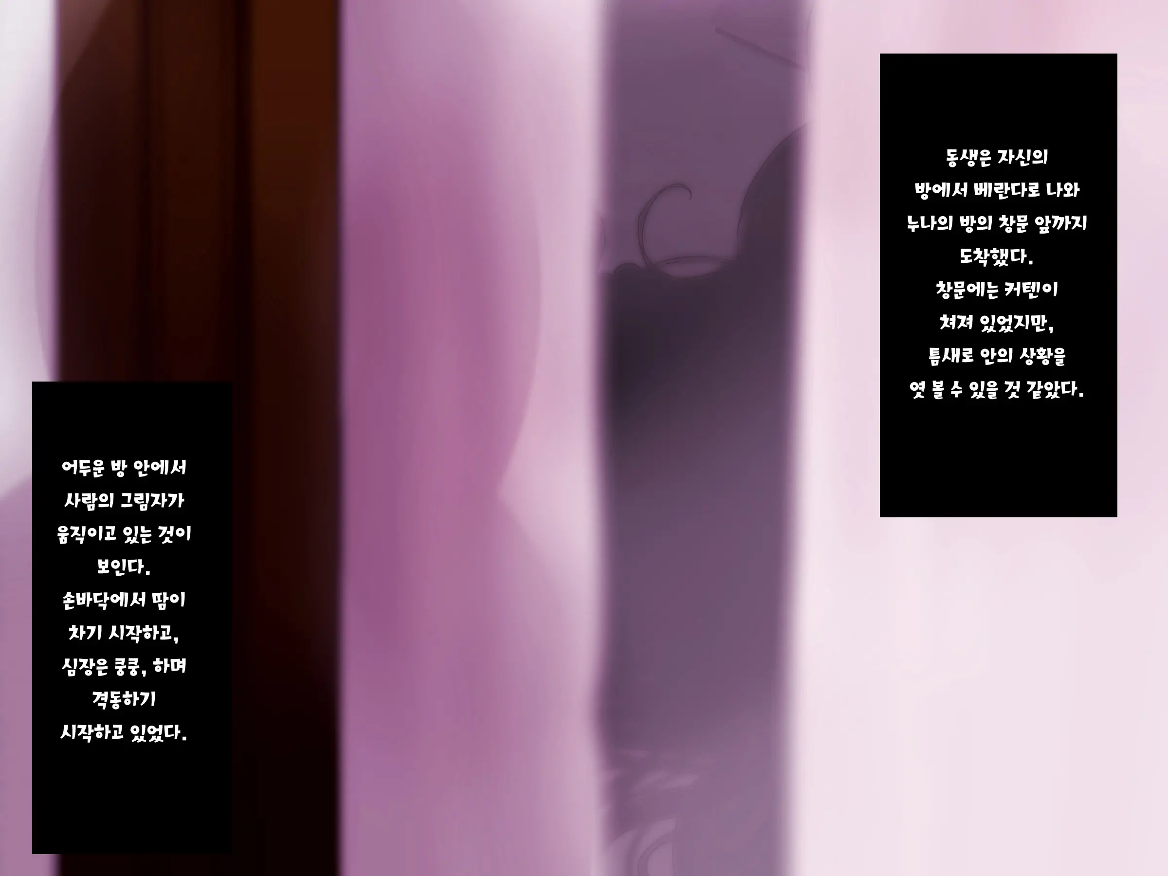 Aru Hi, Otouto Ga Nozokimita No Wa Furyou-Tachi Ni Konsui Rape Sareru Daisuki Datta Ane No Sugata Datta. | 어느날, 동생이 엿본 것은 불량배들에게 혼수 레〇프 당하는 사랑했던 누나의 모습이었다.